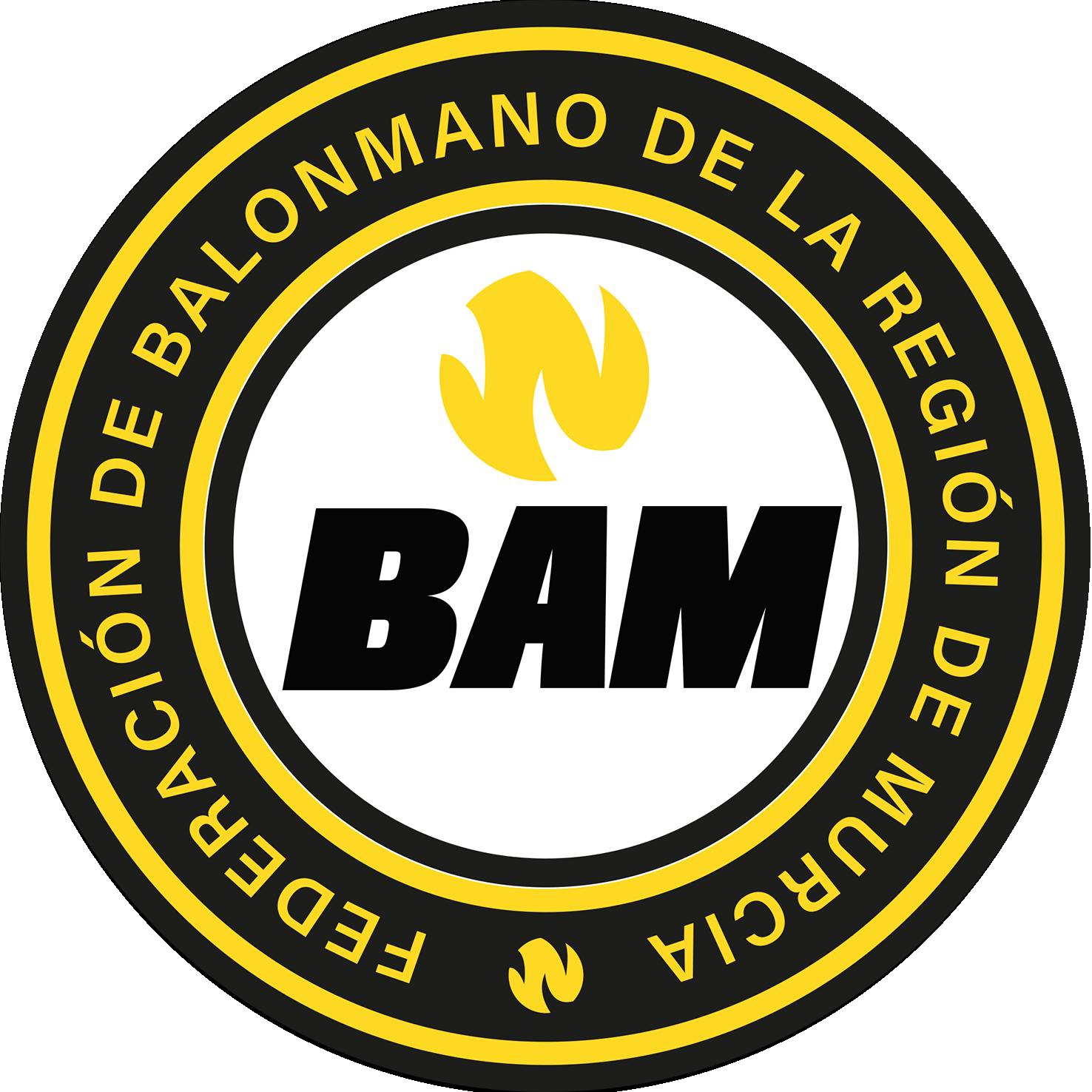 FEDERACIÓN TERRITORIAL DE BALONMANO DE LA REGIÓN DE MURCIA